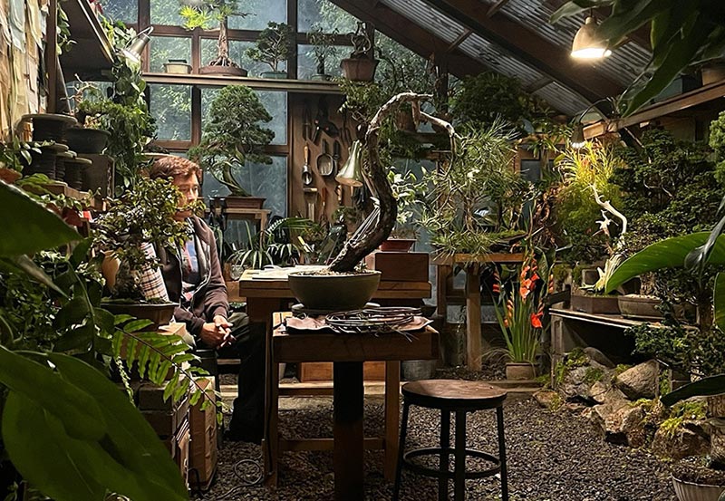 주인공 만수(이병헌)의 온실 속 분재